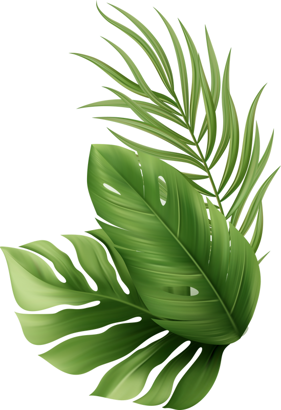 Palm Leaves